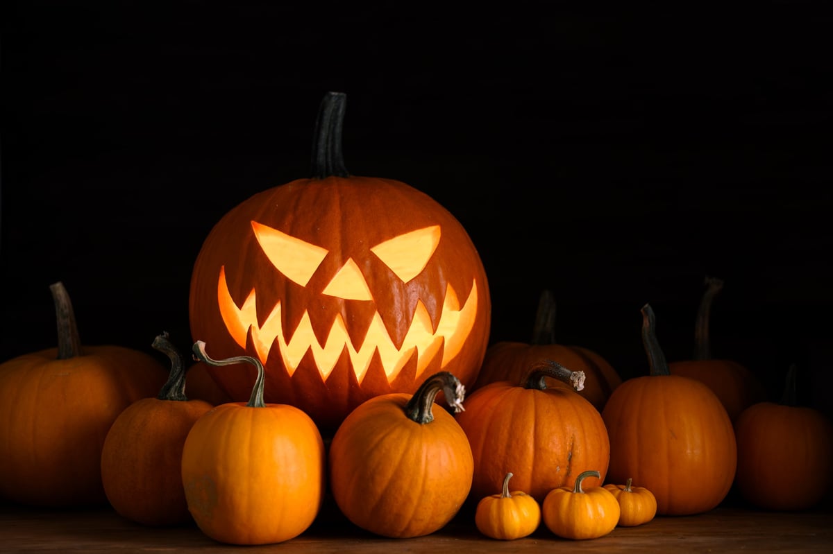 Halloween pumpkin with cosy autumn décor representing Clarovista Solutions' October residential cleaning offer — weekly and bi-weekly home cleans at £25 an hour in London and Essex